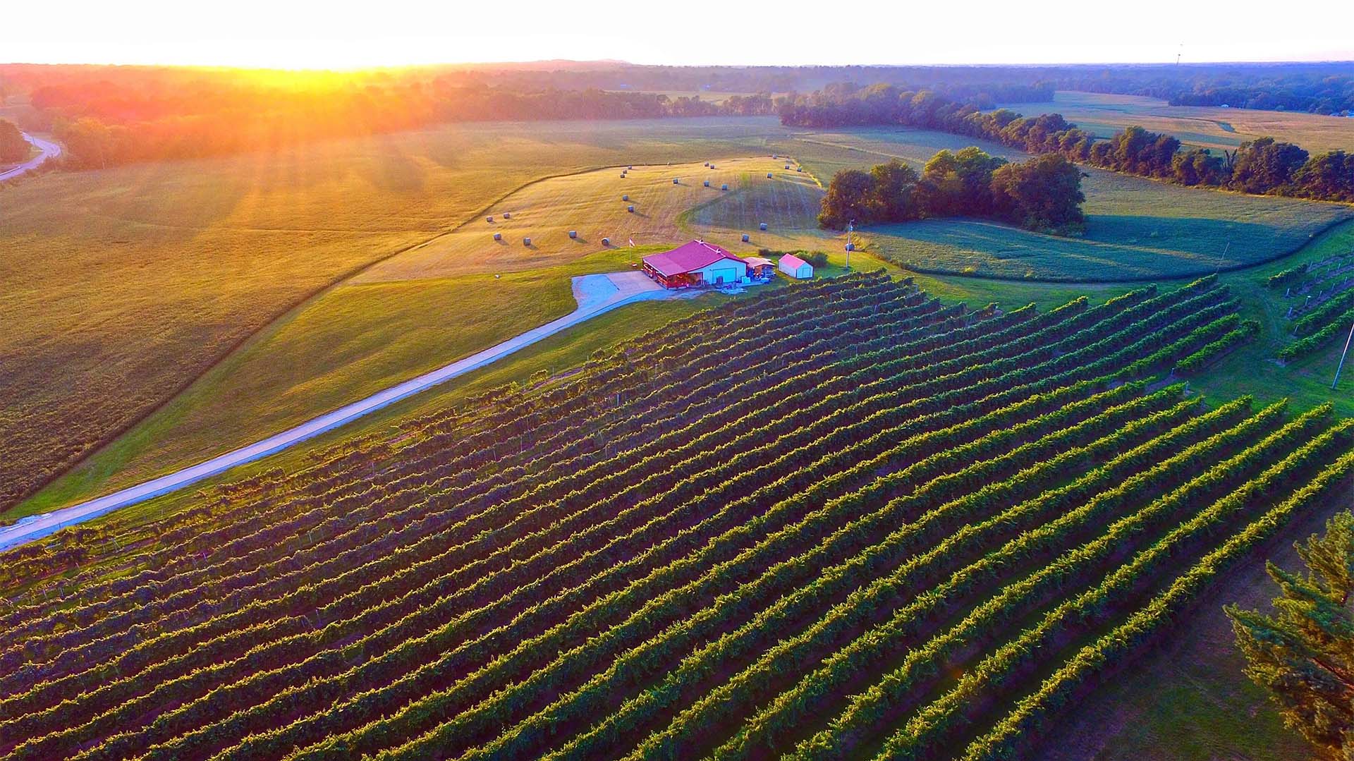 Aerial view of Boucherie Winery